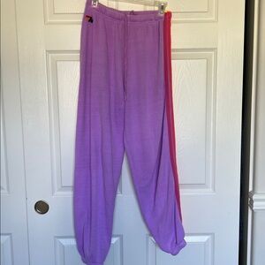 Purple Jogger Pants with Pink Stripe